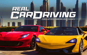 Real Car Driving